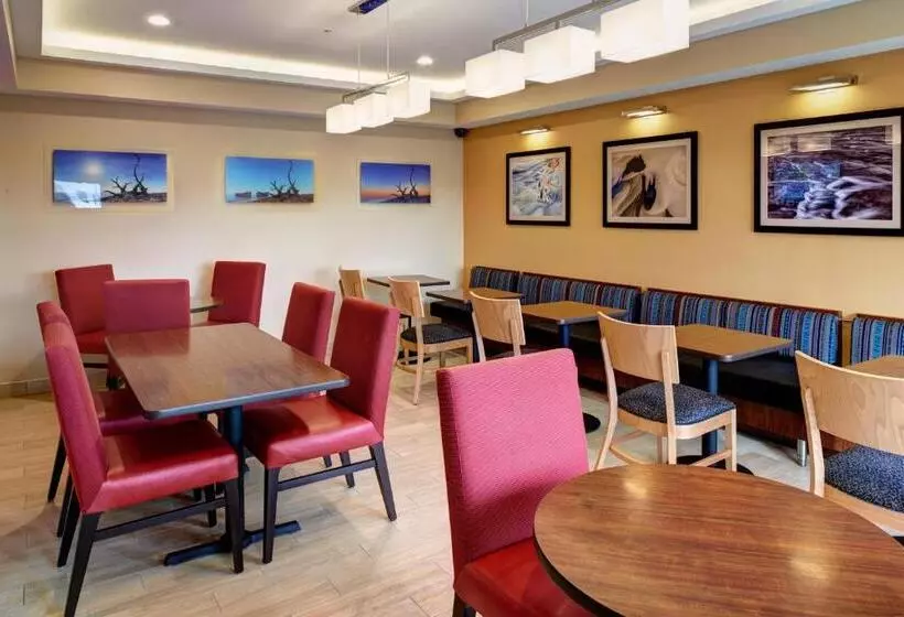 Hotelli Towneplace Suites By Marriott Detroit Troy