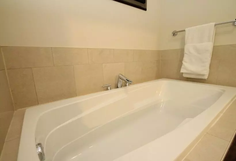 Premiere Suites   St. John S Signal Hill Gate