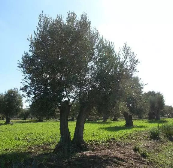 Auberge Dardara