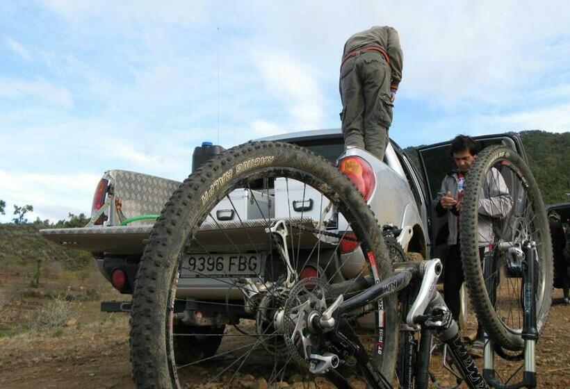 Hostel Auberge Dardara