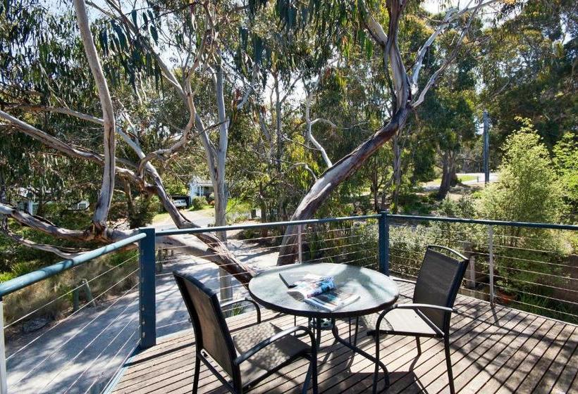 مبيت وإفطار Lorne Surf Apartments