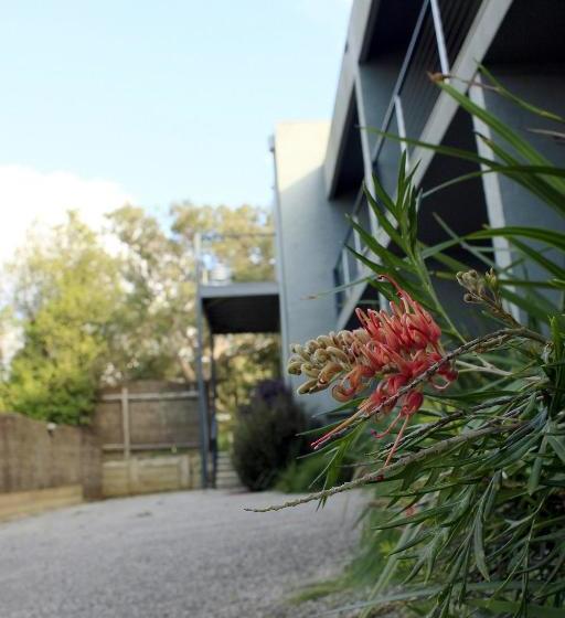 مبيت وإفطار Lorne Surf Apartments