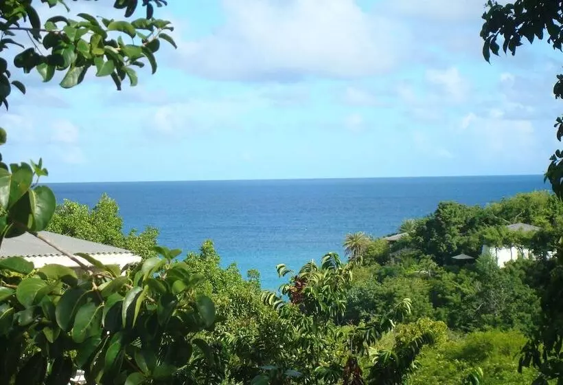 Galley Bay Cottages