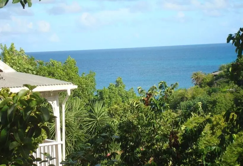 Galley Bay Cottages