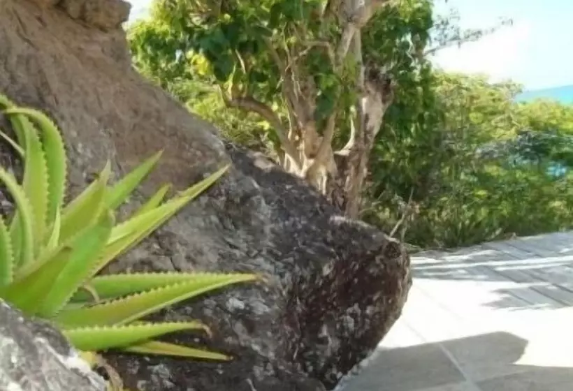 Galley Bay Cottages