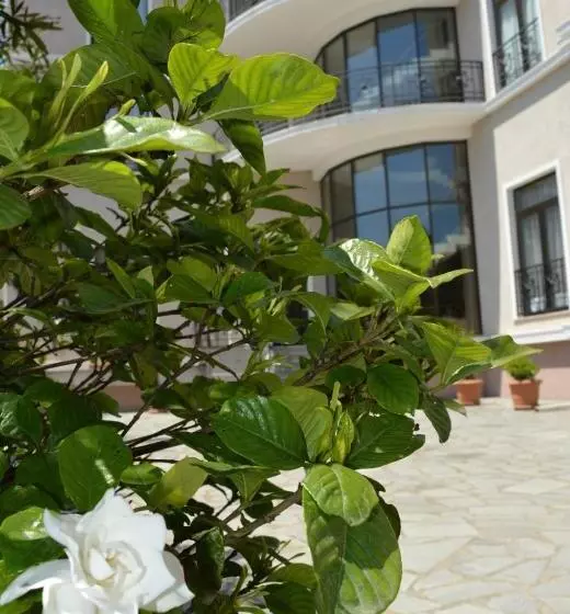 Boutique Hotel Argo