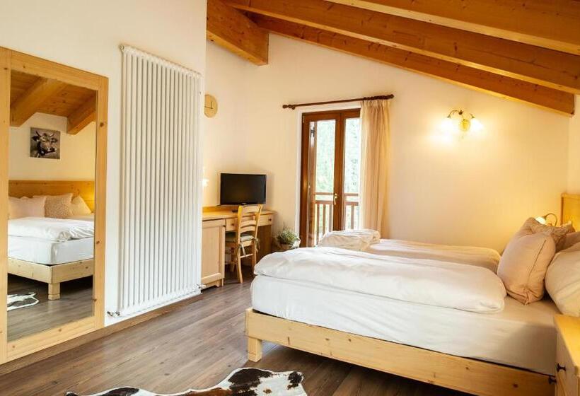 Отель Chalet Giasenei