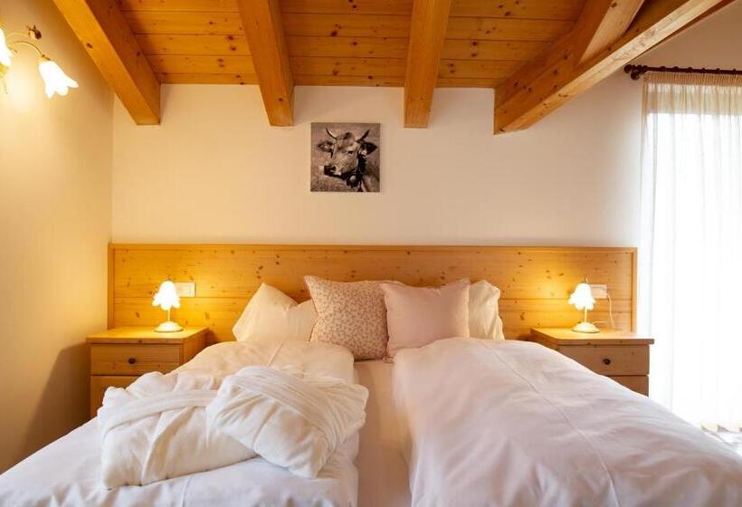 Отель Chalet Giasenei