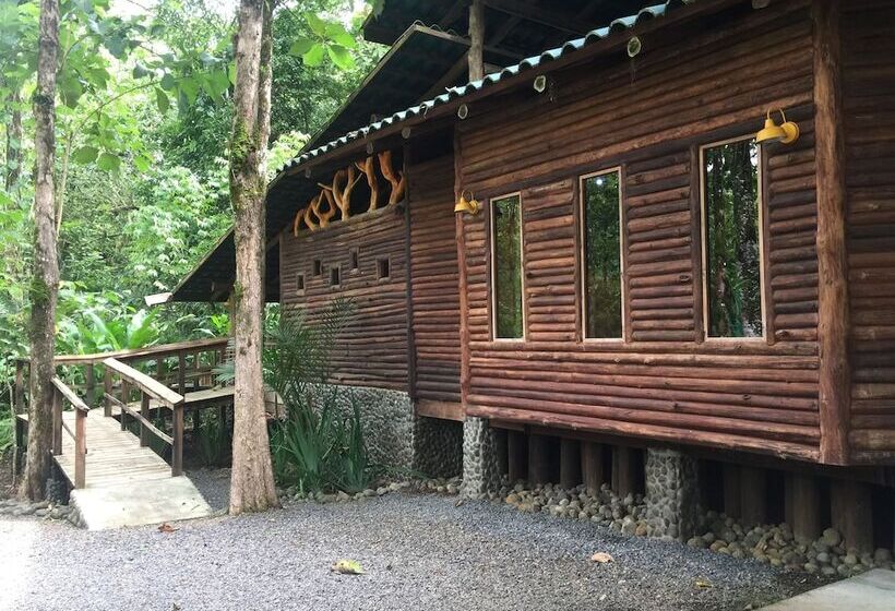 ホテル Cinco Ceibas Lodge