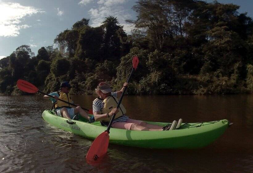 ホテル Cinco Ceibas Lodge