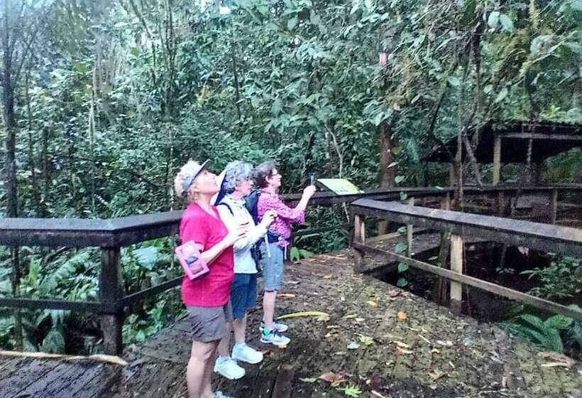 ホテル Cinco Ceibas Lodge