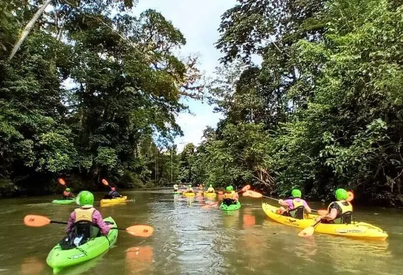 ホテル Cinco Ceibas Lodge