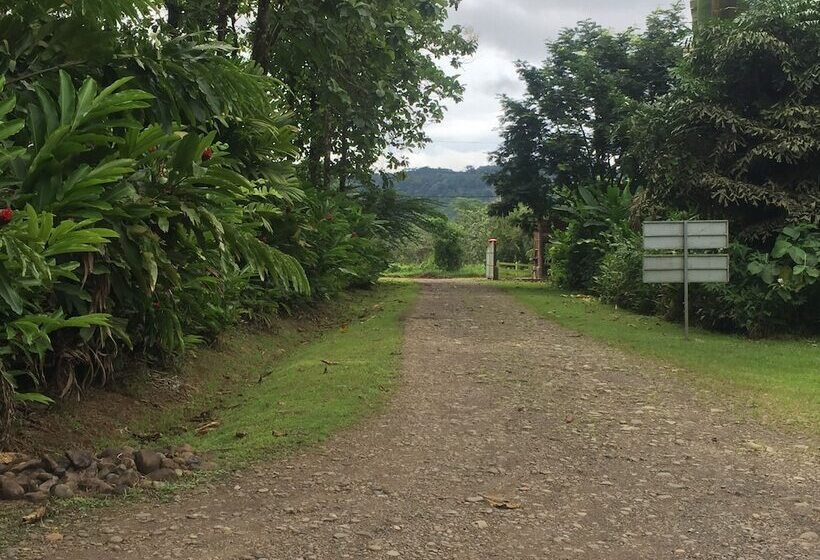 ホテル Cinco Ceibas Lodge