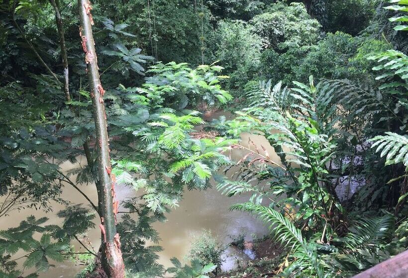 ホテル Cinco Ceibas Lodge