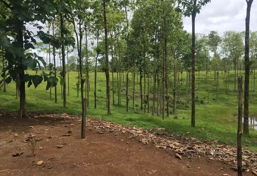 ホテル Cinco Ceibas Lodge