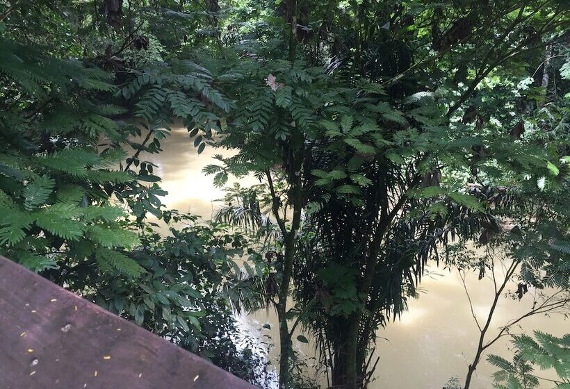 ホテル Cinco Ceibas Lodge