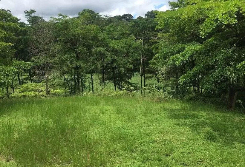 ホテル Cinco Ceibas Lodge