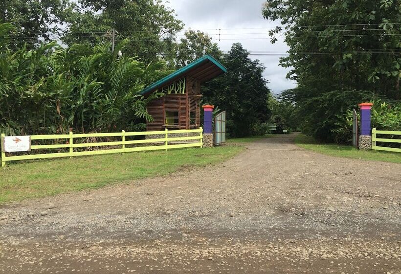 ホテル Cinco Ceibas Lodge