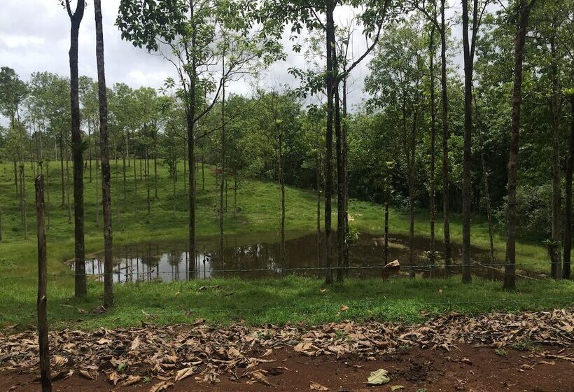 ホテル Cinco Ceibas Lodge