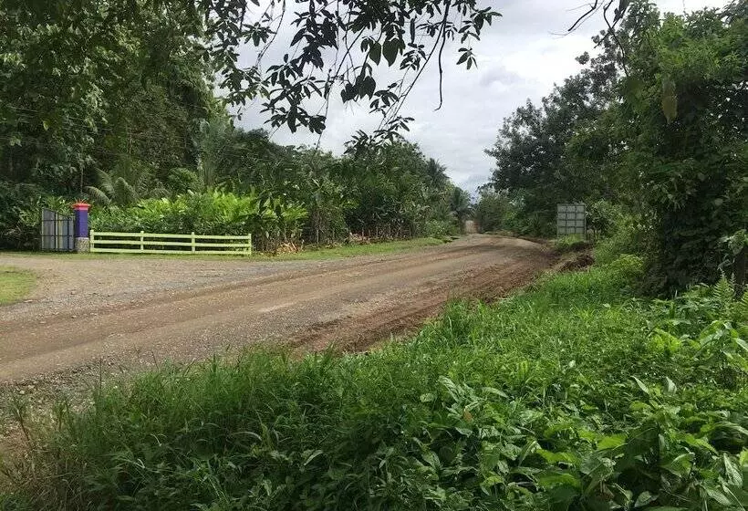ホテル Cinco Ceibas Lodge