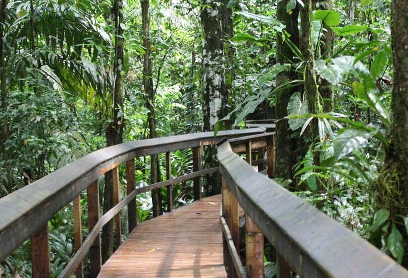 ホテル Cinco Ceibas Lodge