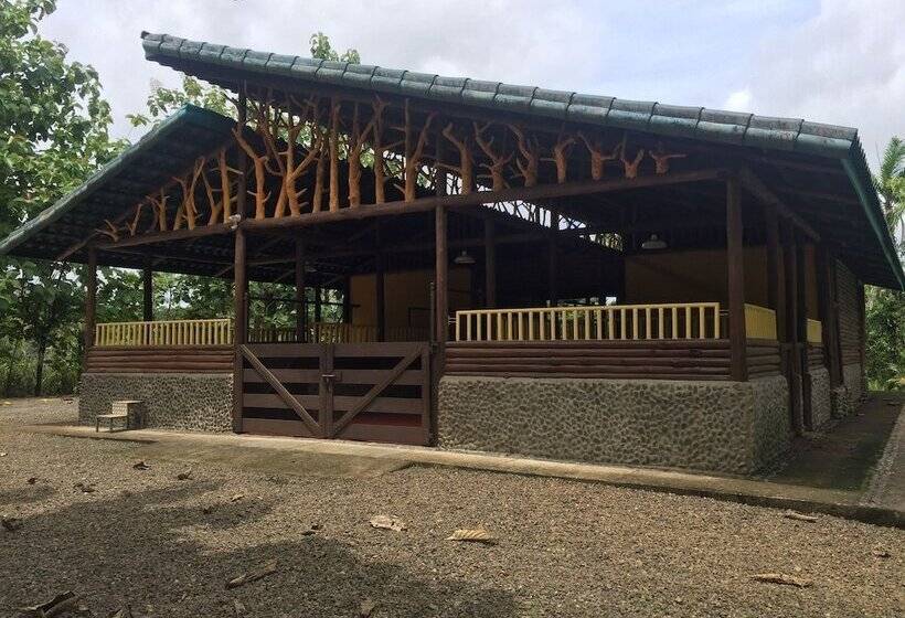 ホテル Cinco Ceibas Lodge