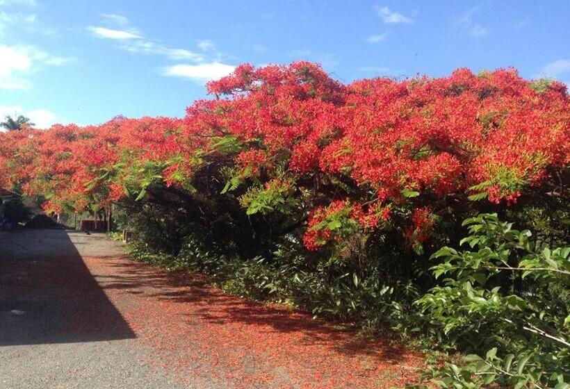 ホテル E Pousada Recanto Do Rio Pardo
