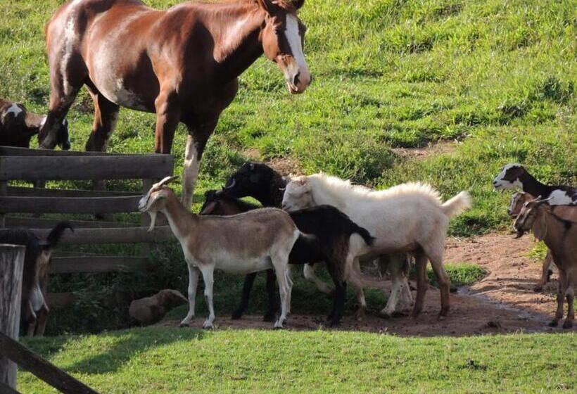 ホテル E Pousada Recanto Do Rio Pardo