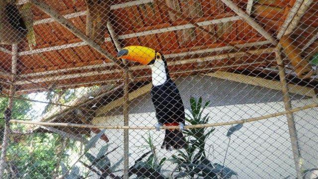 ホテル E Pousada Recanto Do Rio Pardo