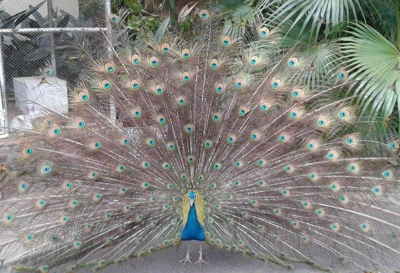 ホテル E Pousada Recanto Do Rio Pardo