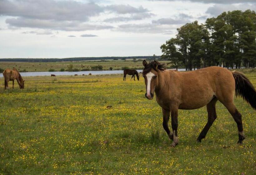 Salinas Del Almiron Resort Termal