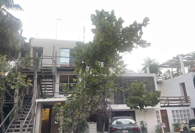 בית מלון כפרי Tuup Tulum