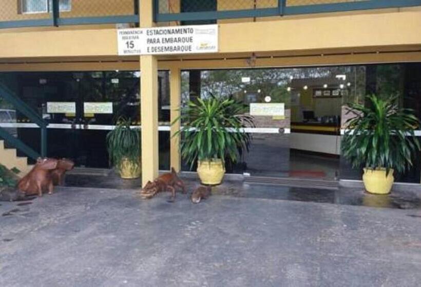 Candeias Hotel Gold Fish