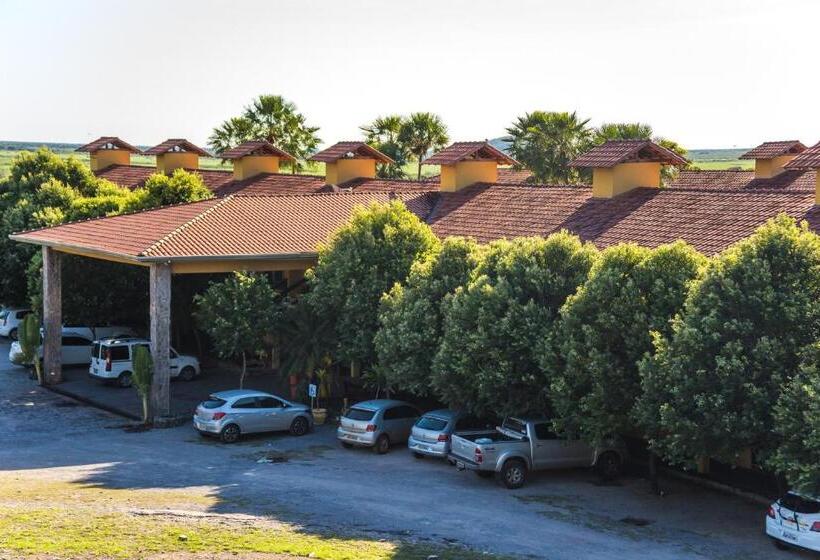 Candeias Hotel Gold Fish