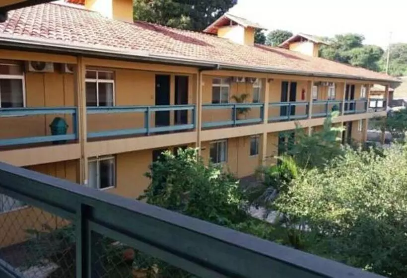 Candeias Hotel Gold Fish