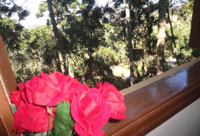 Bed and Breakfast Casa De Campos