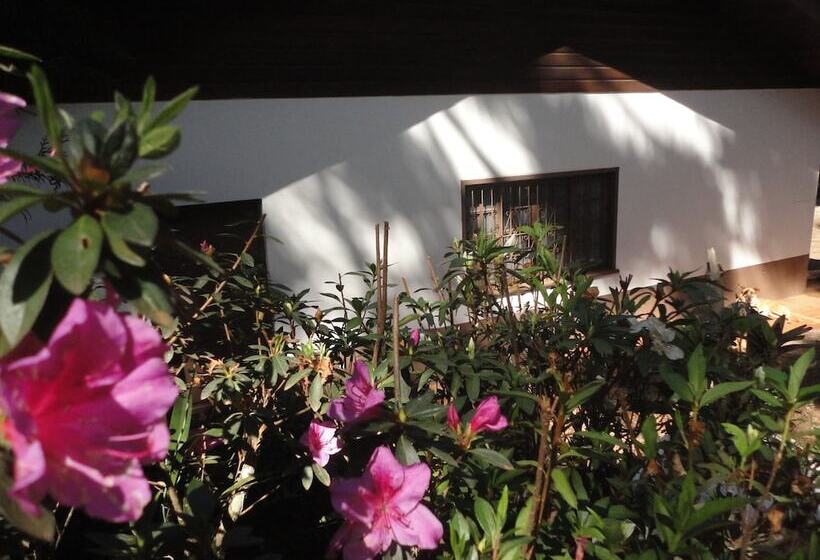 Bed and Breakfast Casa De Campos