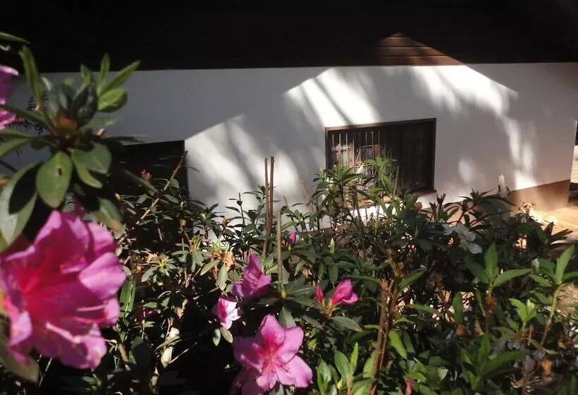 Aamiaismajoitus (B&B) Casa De Campos