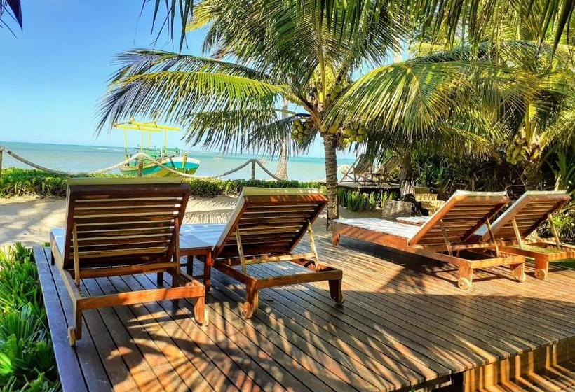 تختخواب و صبحانه Pousada Casotas