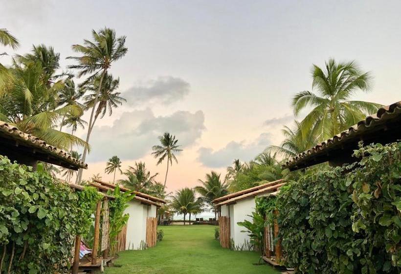 تختخواب و صبحانه Pousada Casotas