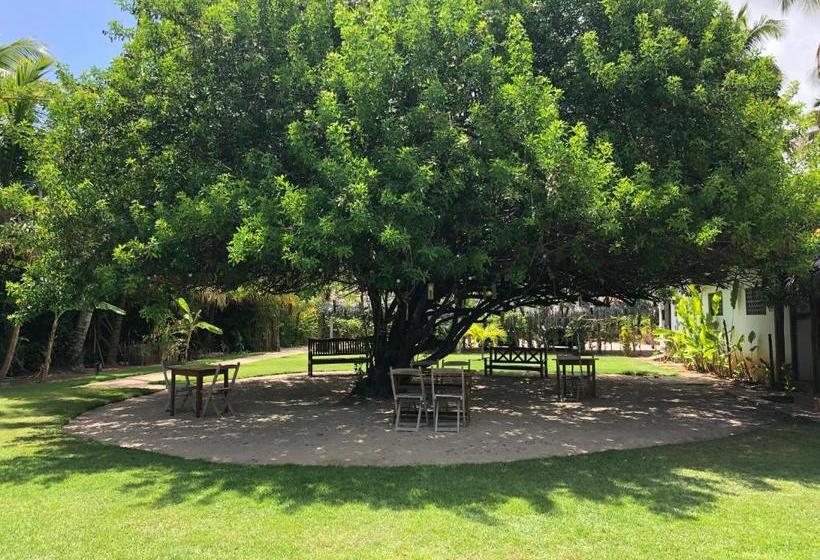 تختخواب و صبحانه Pousada Casotas