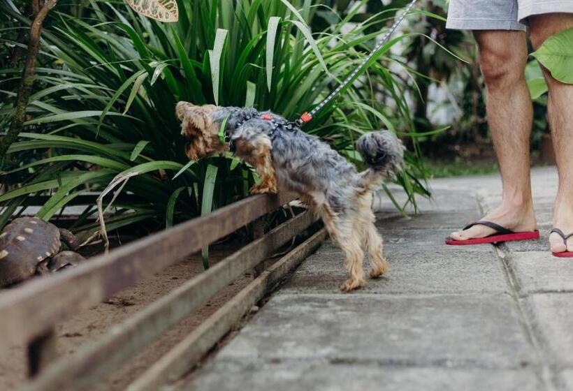 ベッドアンドブレックファースト Pousada Nel Blu