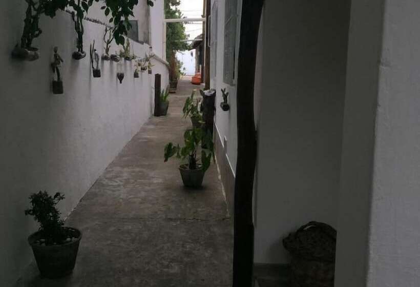 ベッドアンドブレックファースト Pousada Nel Blu