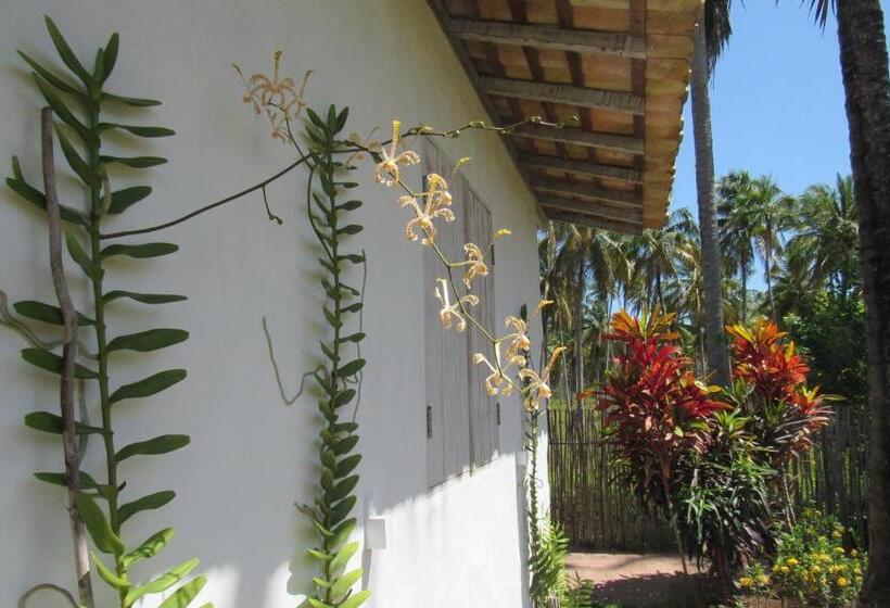 민박 Pousada Villages Boutique Hotel   150m Da Praia Da Laje