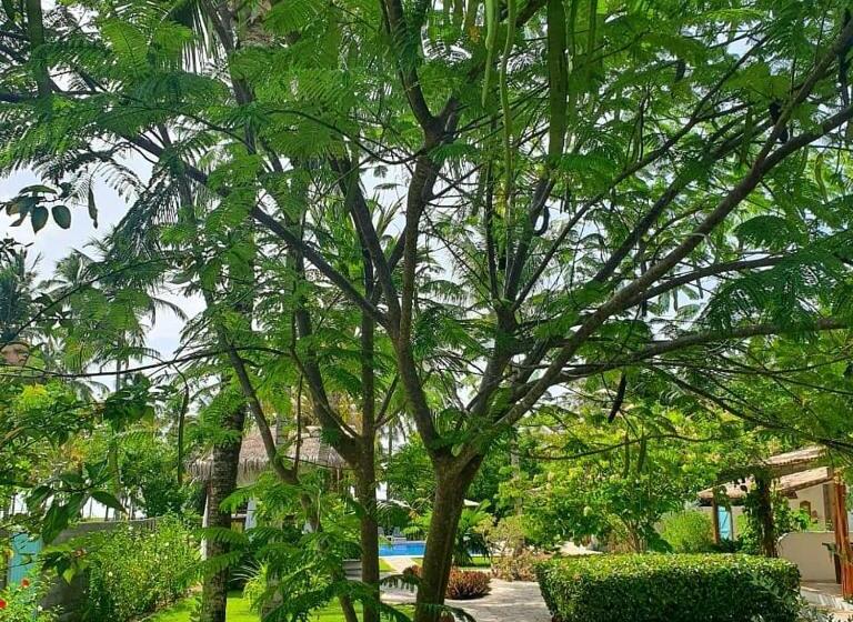 민박 Pousada Villages Boutique Hotel   150m Da Praia Da Laje