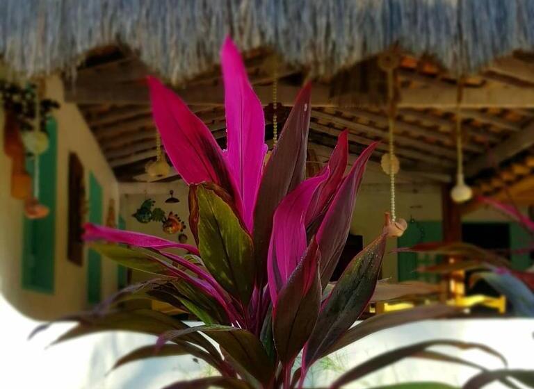 민박 Pousada Villages Boutique Hotel   150m Da Praia Da Laje