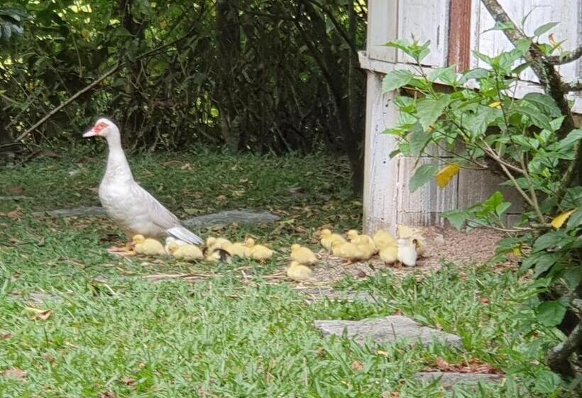 Hotel Eco Pousada Eldorado Lumiar