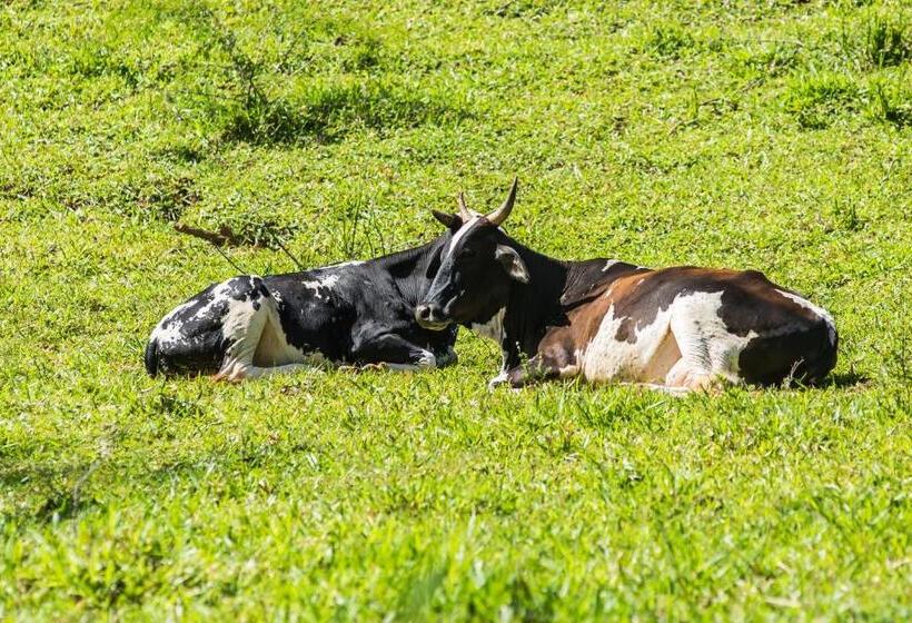 Hotel Eco Pousada Eldorado Lumiar