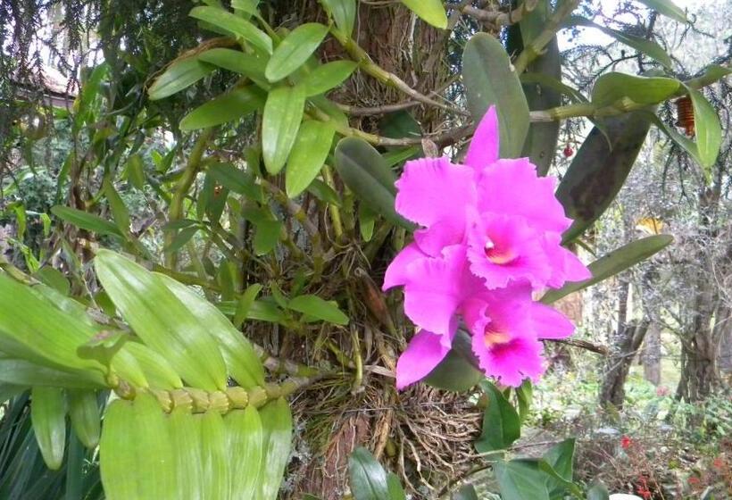 Hotel Eco Pousada Eldorado Lumiar