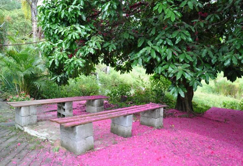 Hotel Eco Pousada Eldorado Lumiar